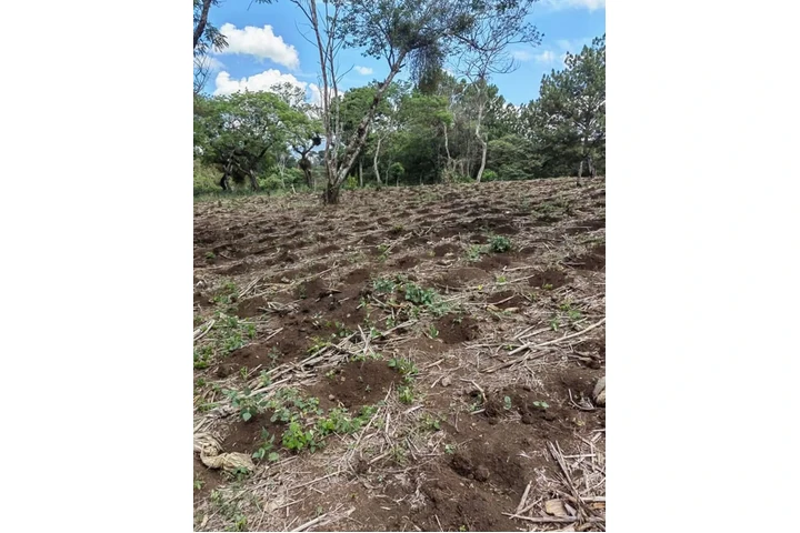 $55000 : Terreno en Fraijanes, Guatemal image 5