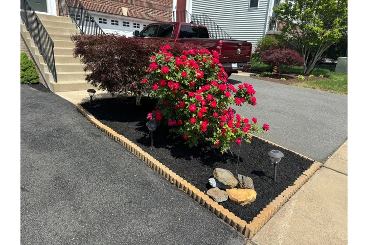 LANDSCAPING SERVICES image 8
