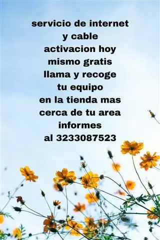 *ACTIVACION HOY / INTERNET* image 1
