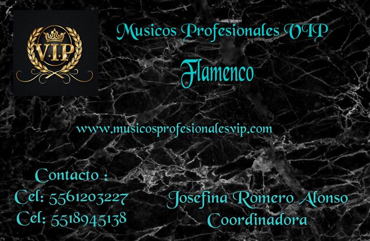 Músicos Profesionales VIP image 10