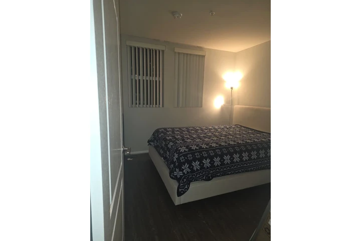 $950 : Rento cuarto privado Downtown image 2