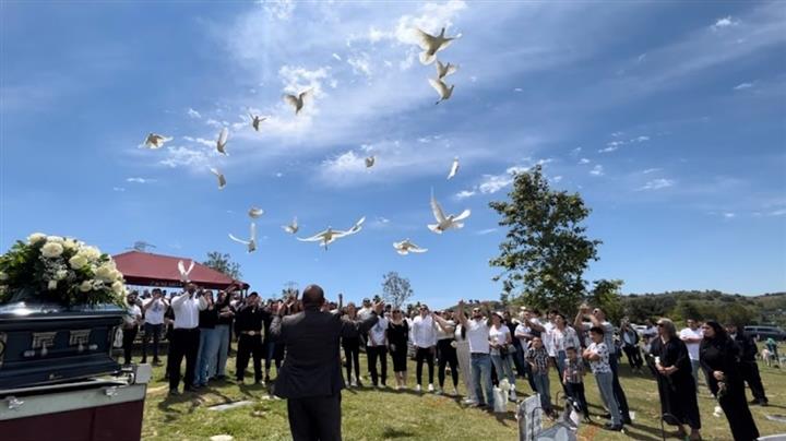 Palomas Blancas image 3