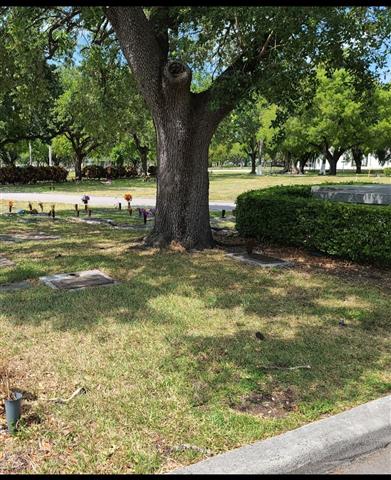 Cementerio Flagler Memorial image 3