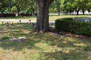 Cementerio Flagler Memorial thumbnail