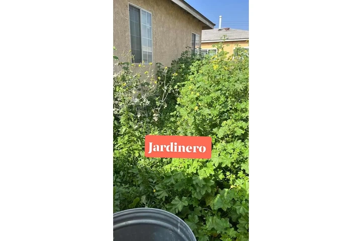 $45Corté de pasto 3232896968 image 7