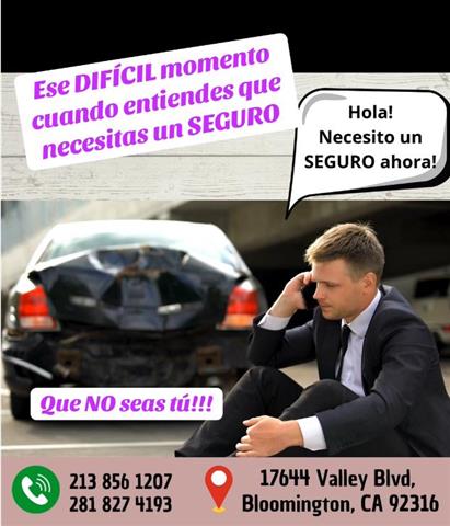 Protege tu Auto. Precio Bajo image 1