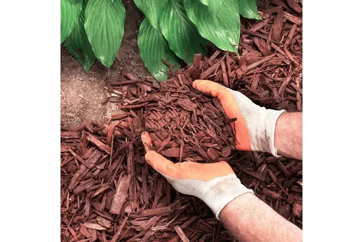 Magnolia Landscaping LLC image 2