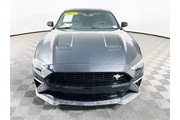 $25900 : Ford Mustang 2019 GT Premium thumbnail