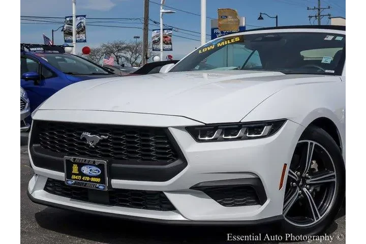 $34880 : Ford Mustang 2024 EcoBoost P image 3