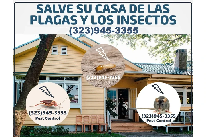 PEST CONTROL-CLASIFICADOS #1. image 4