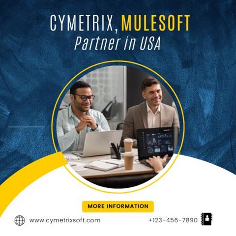 MuleSoft Partner in USA image 1