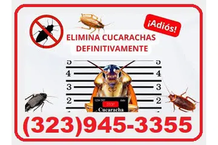 BEST EXTERMINATORS LOS ANGELES image 5