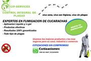 CIP-SERVICES CONTROL DE PLAGAS en Quito