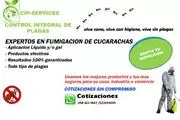 CIP-SERVICES CONTROL DE PLAGAS thumbnail 1