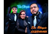 trio musical en Mixcoac en Mexico DF