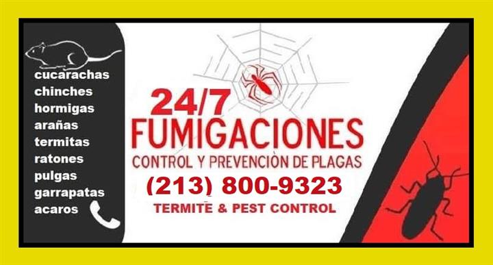 FUMIGACIÓNES/CONTROL DE PLAGAS image 1