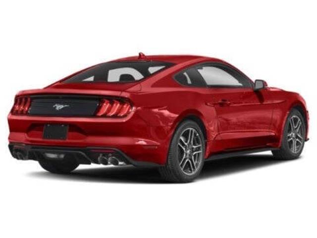 2022 Mustang EcoBoost image 3