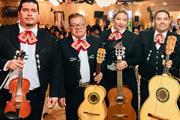 MARIACHI SILVESTRE thumbnail