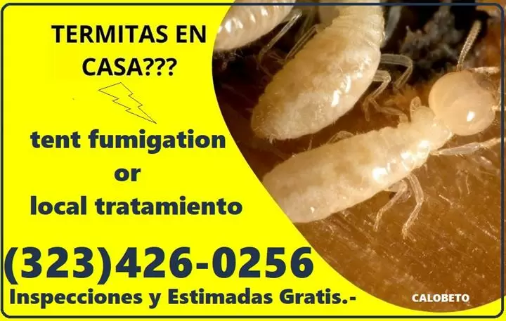 $99 : FUMIGACION TERMITAS-INSPECCION image 7