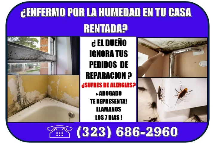 🔥SI NO GANAMOS! NO  COBRAMOS! image 2