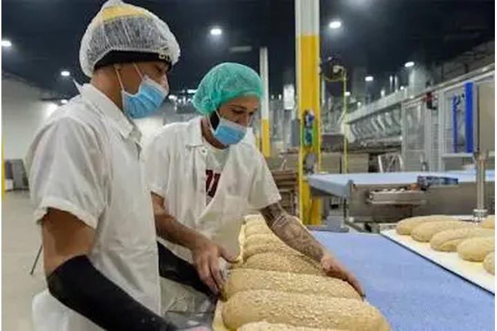 TRABAJO GENERAL! image 1