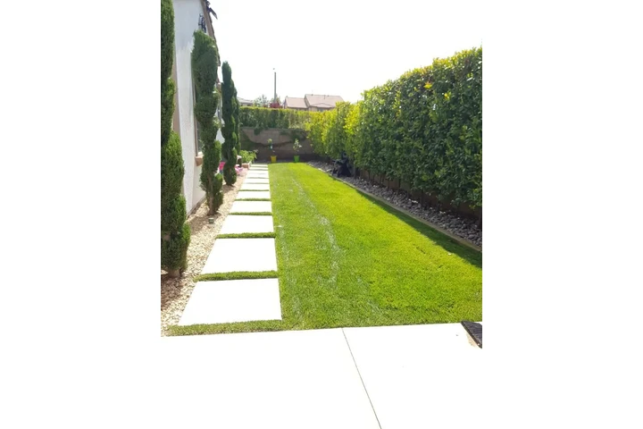 Lorenzo's Tree Services image 3