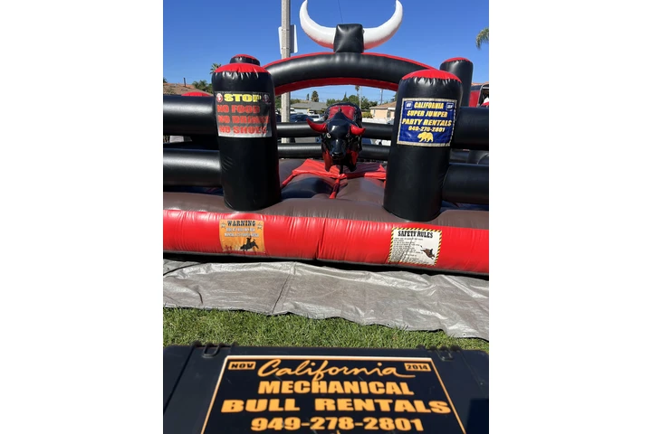 Bulls for rent 🐃 image 4