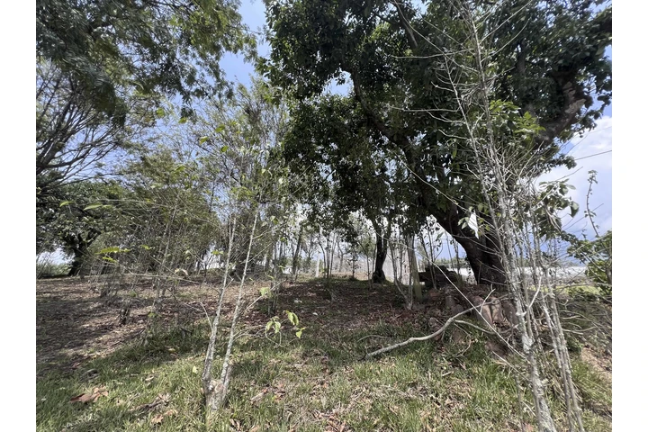 $97000 : Terreno en Antigua Gardens image 8