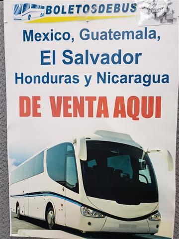 Buses a Guatemala El Salvador image 1