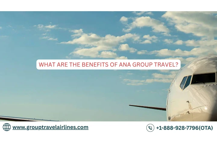 ANA Group Travel image 1