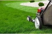 Sandoval garden service thumbnail