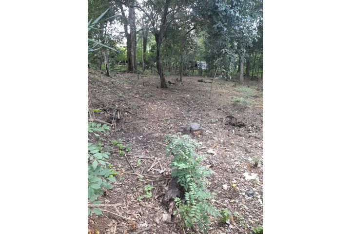 $900000 : Se Vende Amplio Terreno image 3