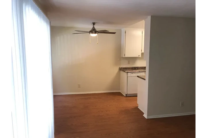 $800 : DREAM APARTMENT WAITING image 3