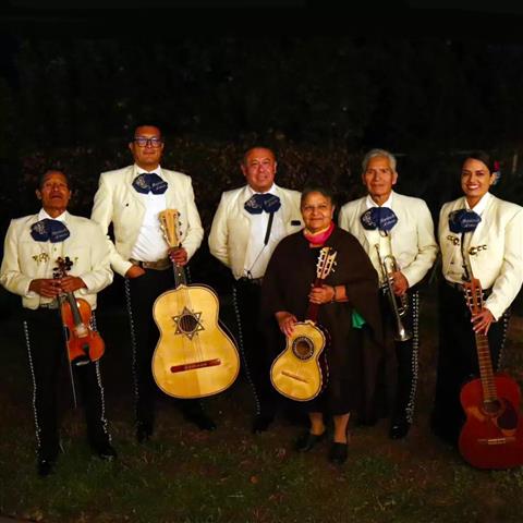 Mariachi Aztecas de Oro image 3