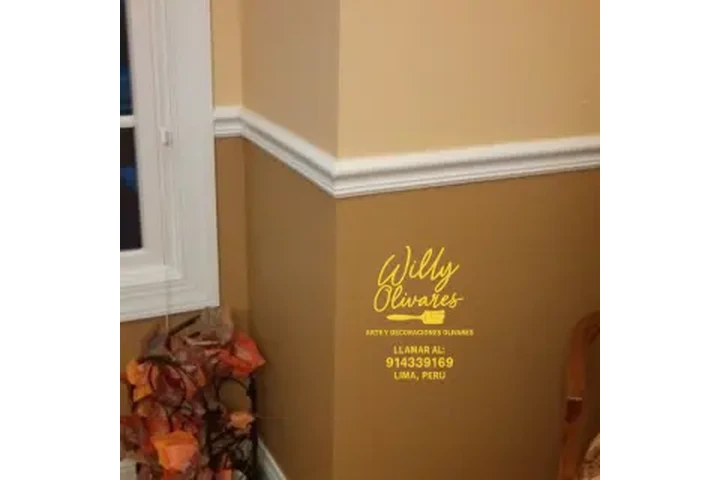 PINTOR PROFESIONAL A DOMICILIO image 4