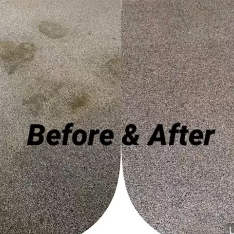 CARPET CLEANING image 1