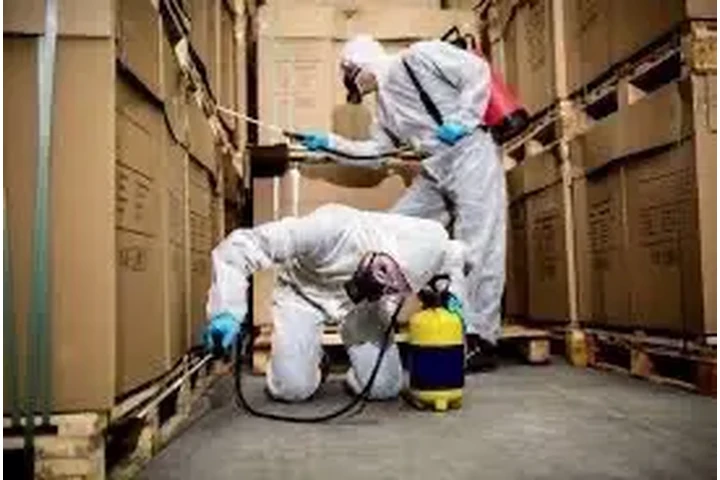 EXTERMINADOR DE PLAGAS 100% image 1