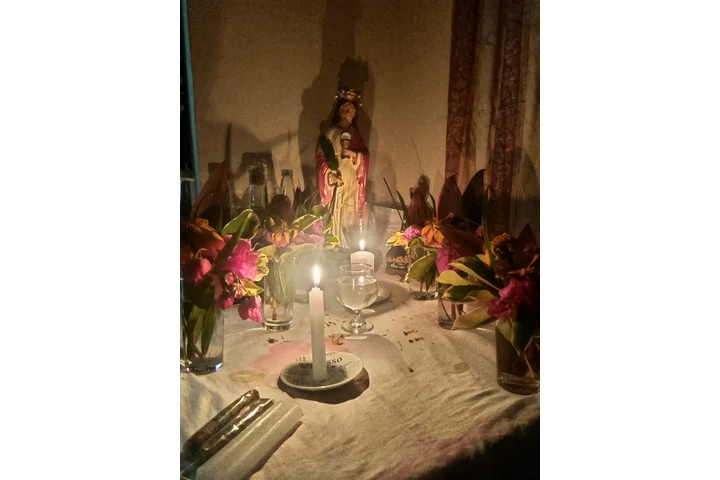 CONSULTAS/AMARRES/DOMINIOS image 3