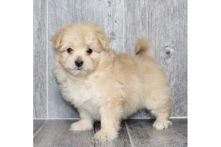 HIDE OTHER CAMS image 5