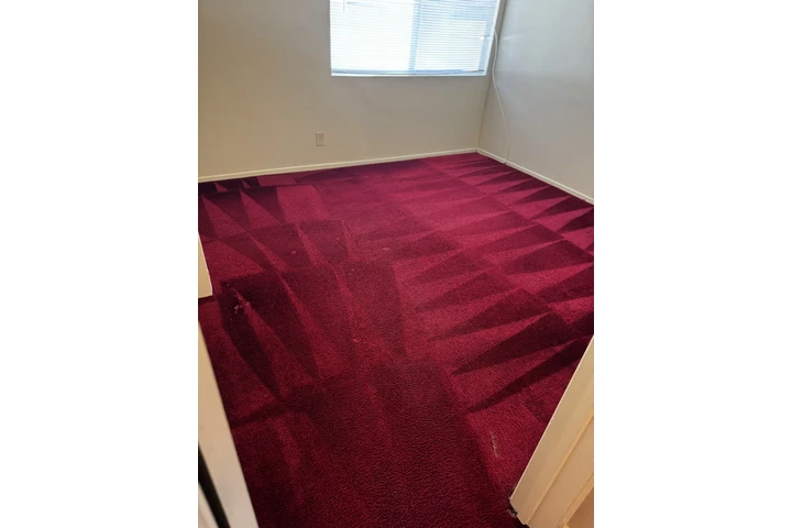 Carpet cleaning image 1