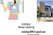 House cleaning EV thumbnail 2