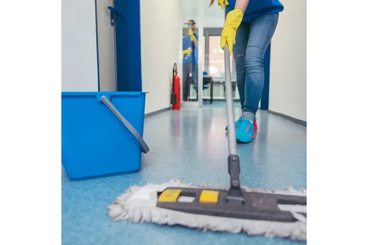 Express Maid Service image 2