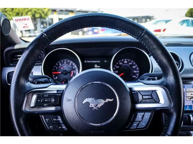 2019 Ford Mustang EcoBoost image 8