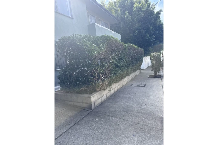 Garden image 1