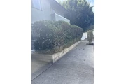Garden en Los Angeles