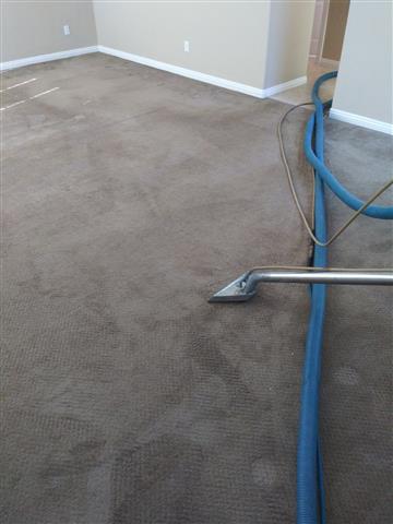 661 Carpet Cleaners image 2