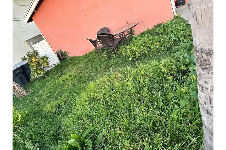 Jardinero $35🍀🌿💳📱 image 3