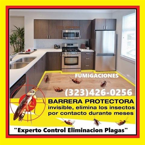 EXTERMINATOR-FUMIGACIONES 24/7 image 4