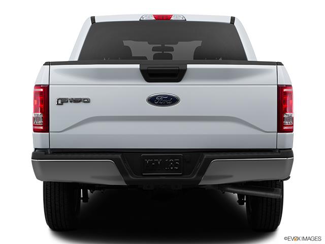 2015 F150 image 6