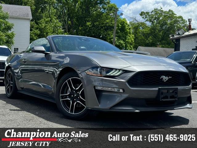 Used 2021 Mustang EcoBoost Pr image 6